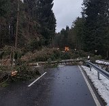 Nach Orkan Friederike - Uslarer Strasse (2)